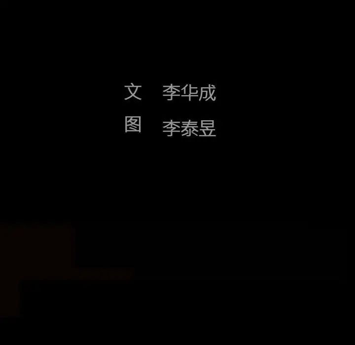 完美人偶第13话