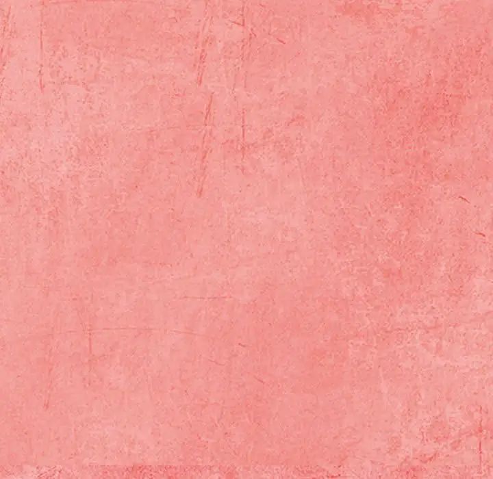 得不到邀请的回忆第26话