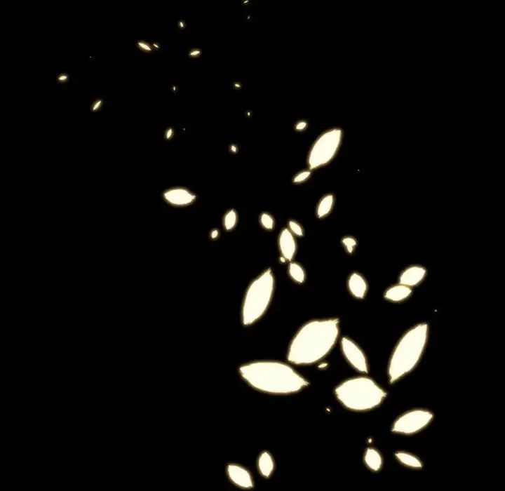 自带香气的男人第11话