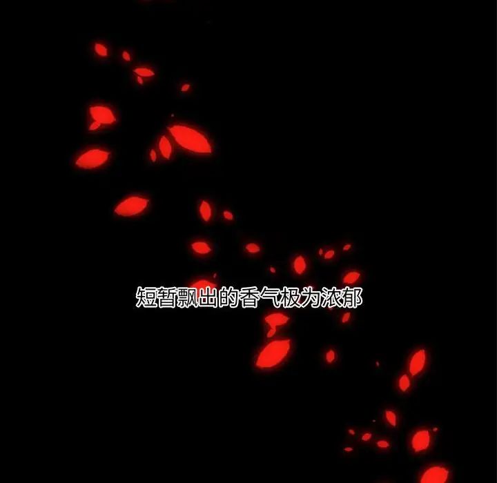 自帶香氣的男人第20话