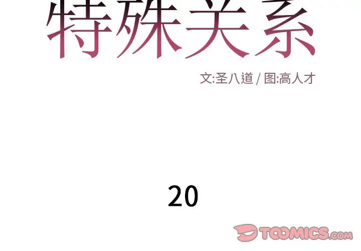 特殊关係第20话