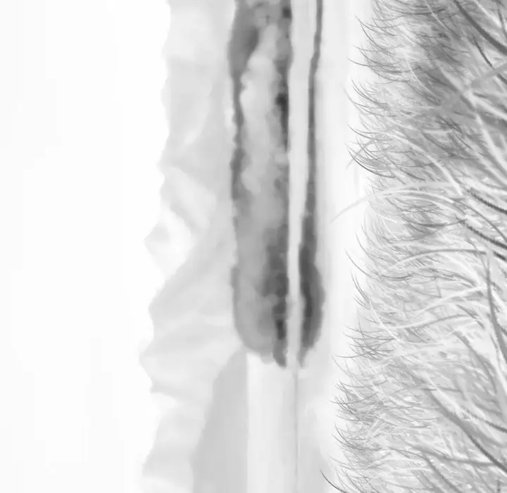 美人为馅第10话