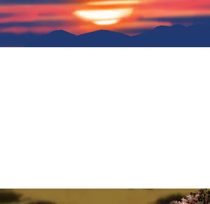 美人为馅第12话