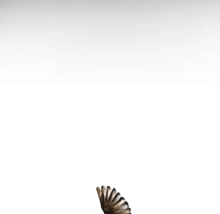 美人为馅第25话