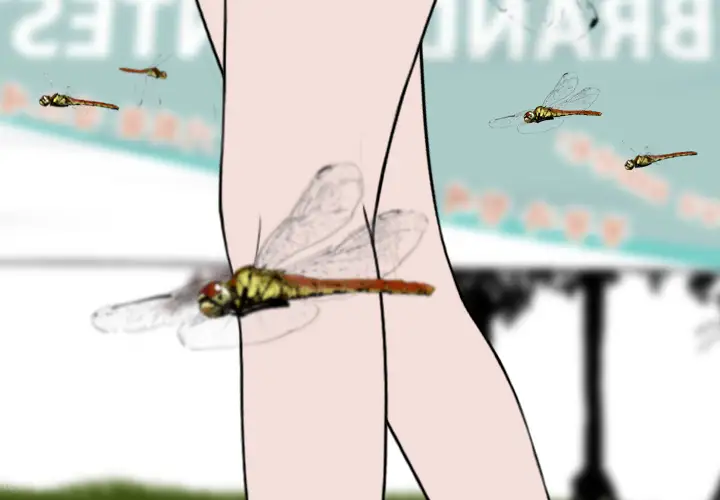 美人为馅第35话