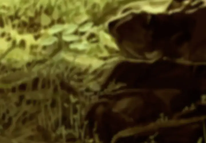 美人为馅第50话