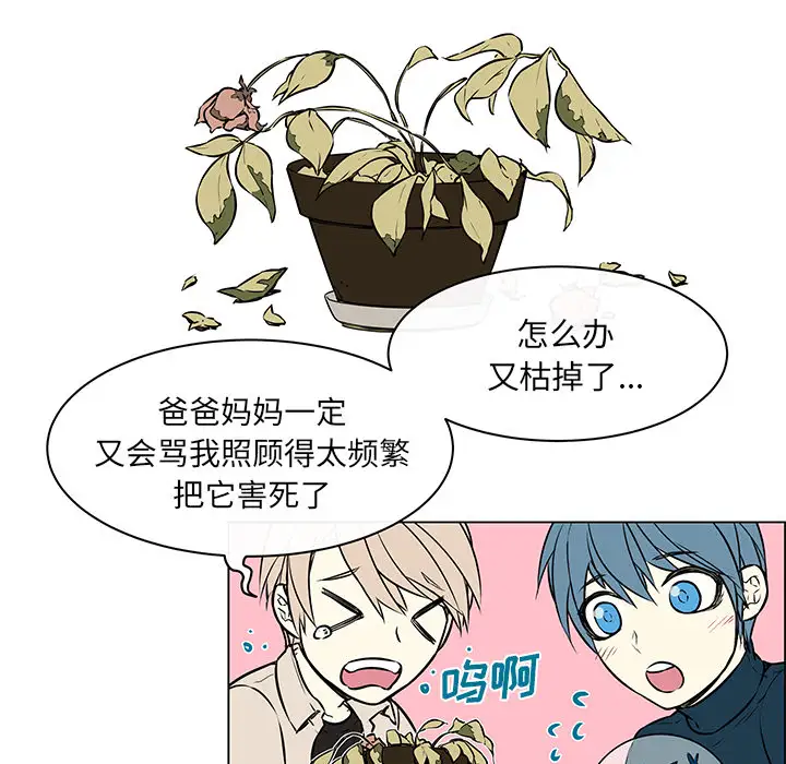 Settia第22话