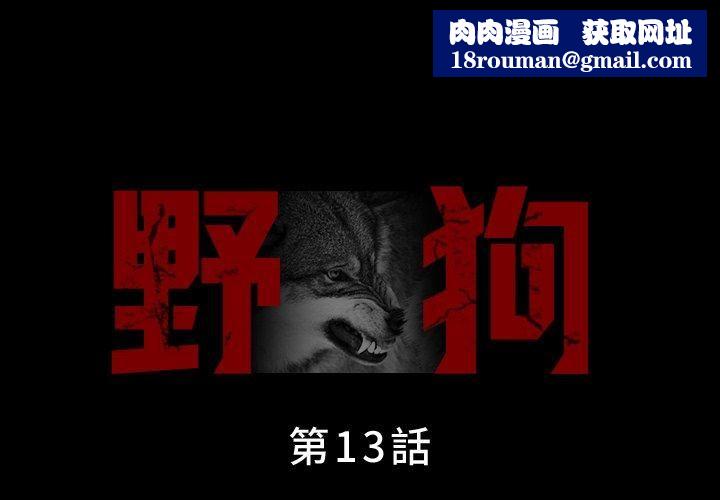 野狗第13话