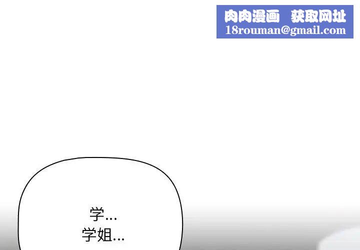 粉丝招募中!第28话