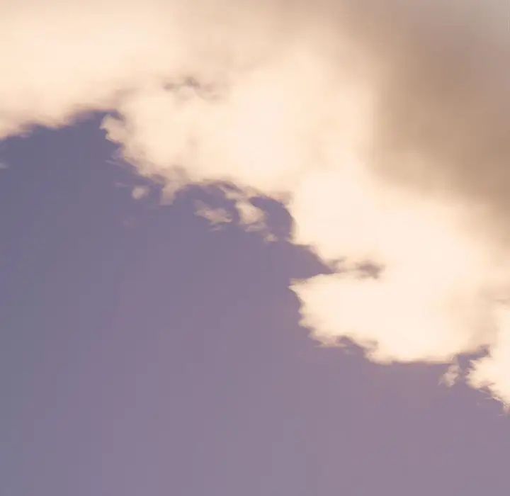 粉丝招募中!第33话