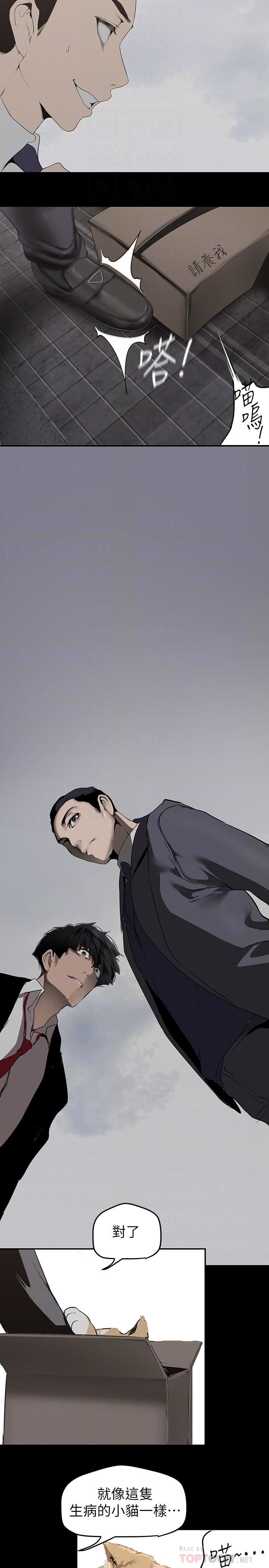 美丽新世界第170话-要不要来我傢看猫?