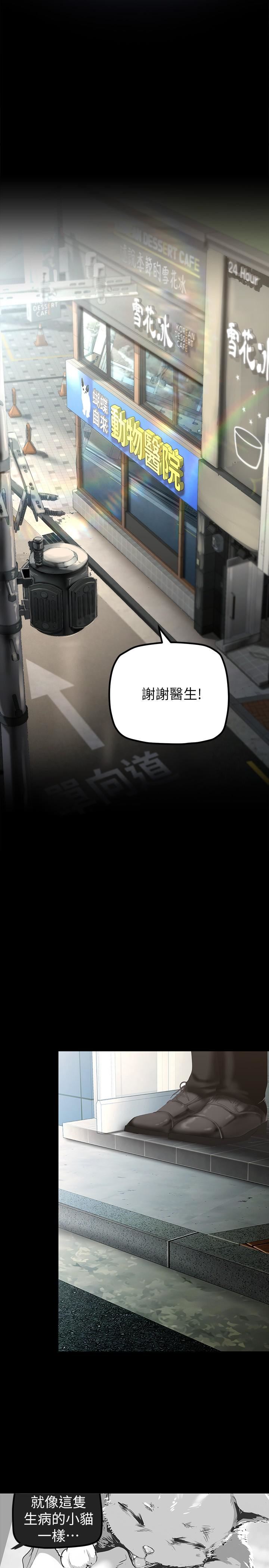 美丽新世界第170话-要不要来我傢看猫?