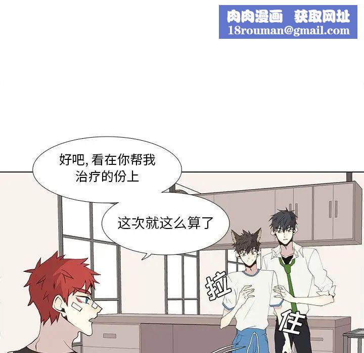 野性之城第26章