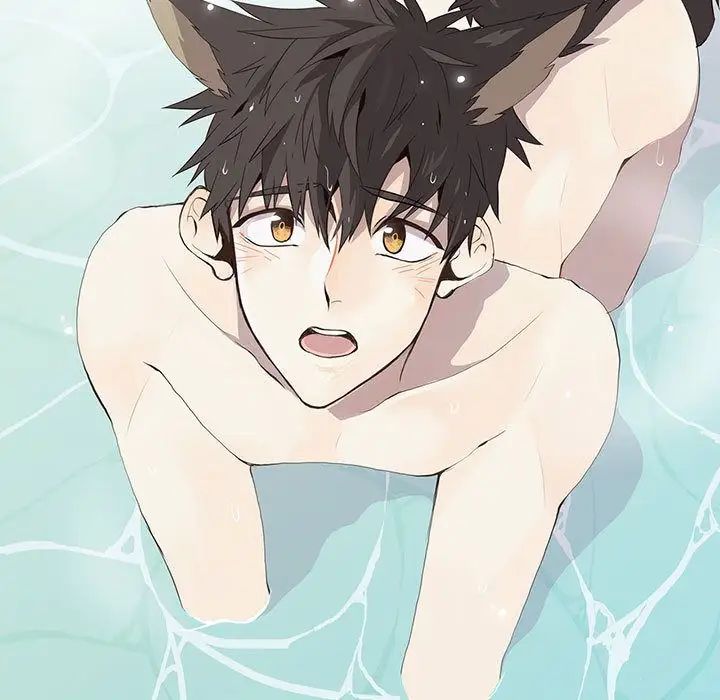 野性之城第27章