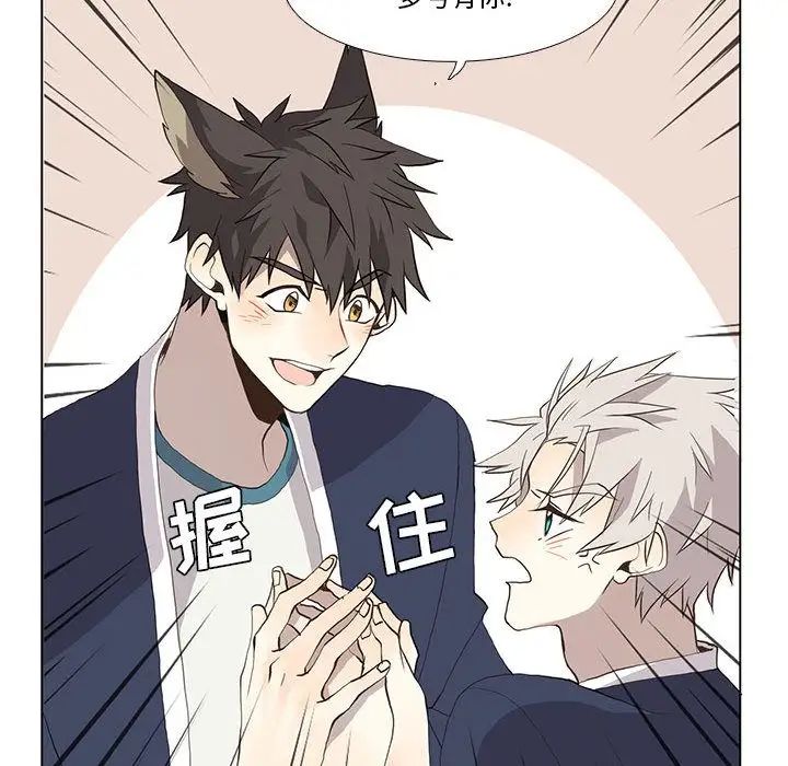 野性之城第29章