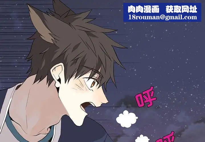 野性之城第30章