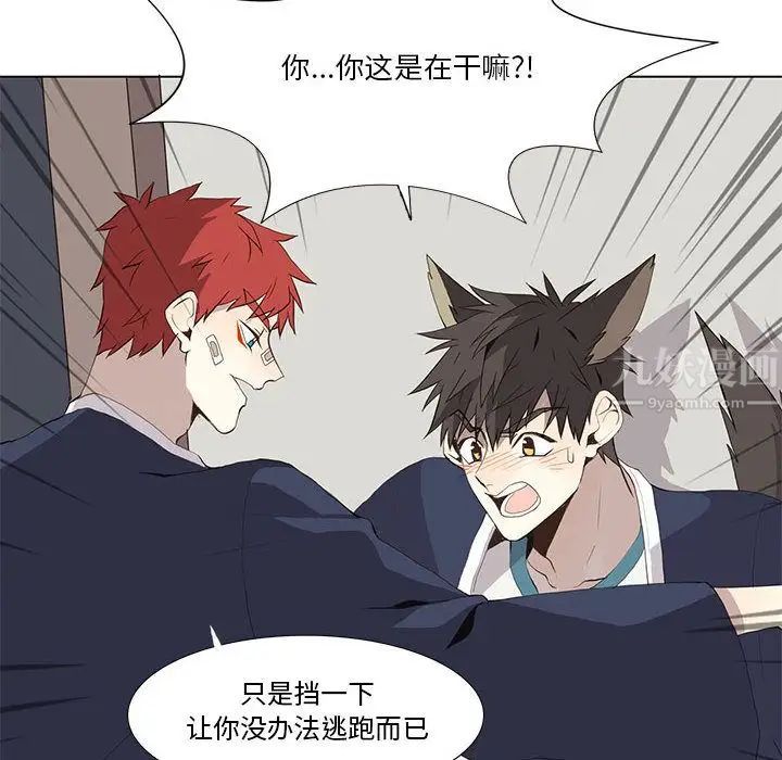 野性之城第30章