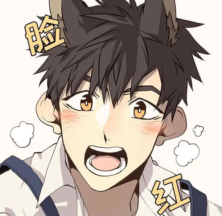 野性之城第37章