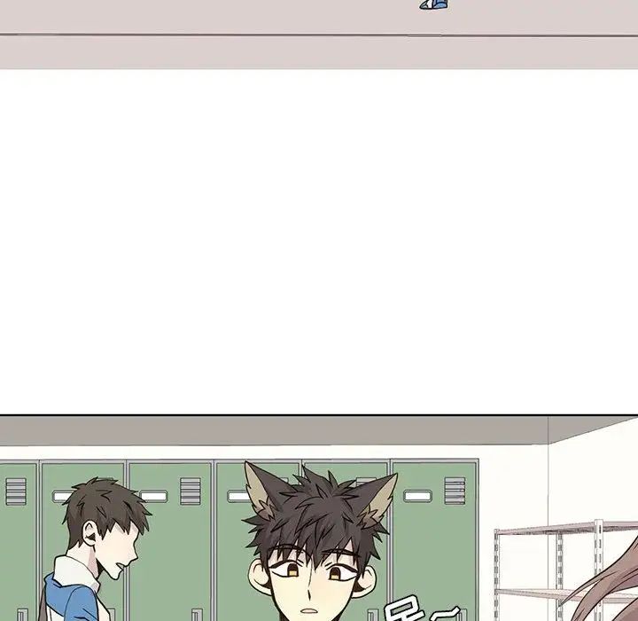 野性之城第43章