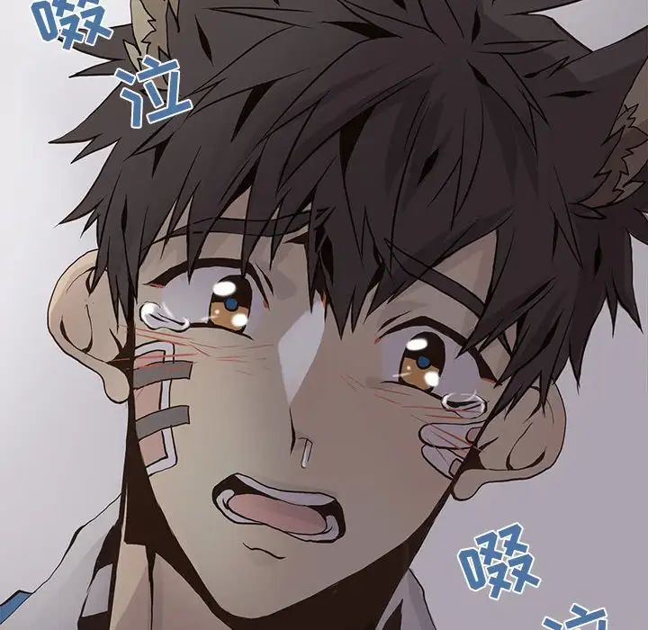 野性之城第50话