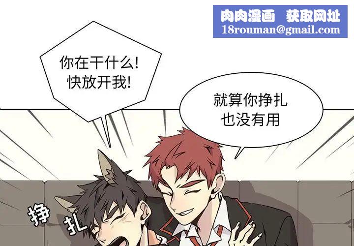 野性之城第63话