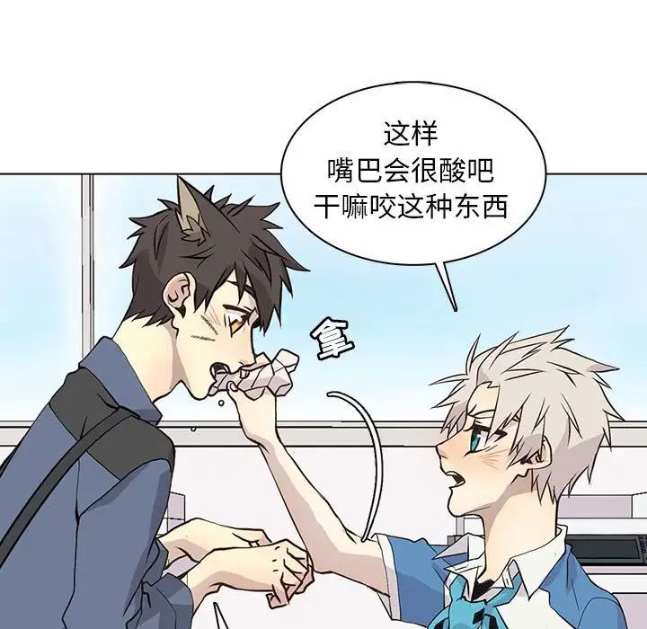 野性之城第89话