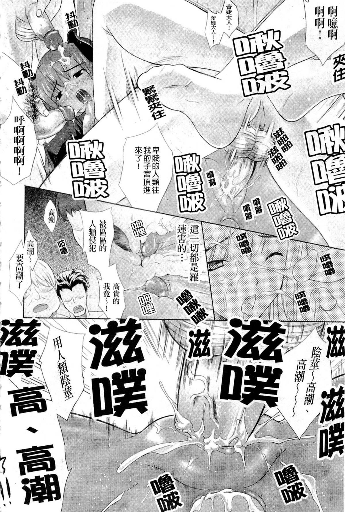 [七瀬瑞穂]PRINCESSFORCE[七瀬瑞穂]PRINCESSFORCE