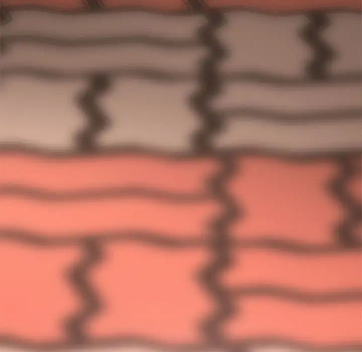 新婚夫妇第28话-最终话(完结)