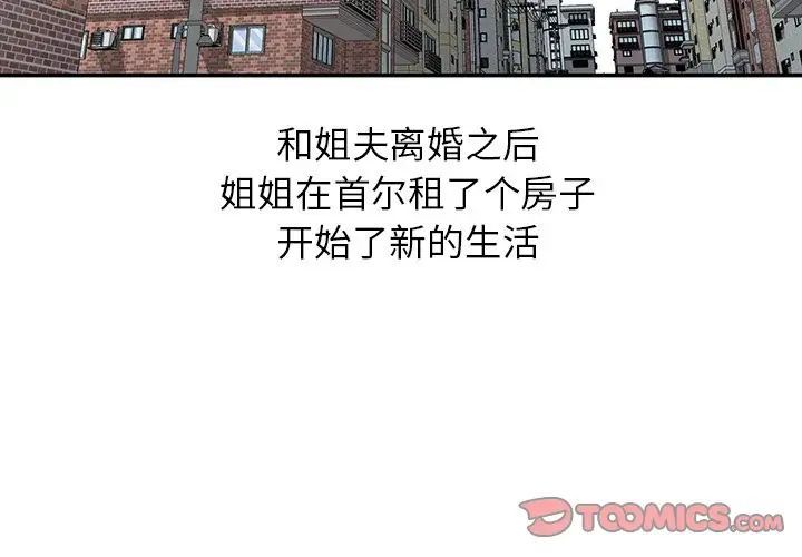 姐姐的秘密第31话