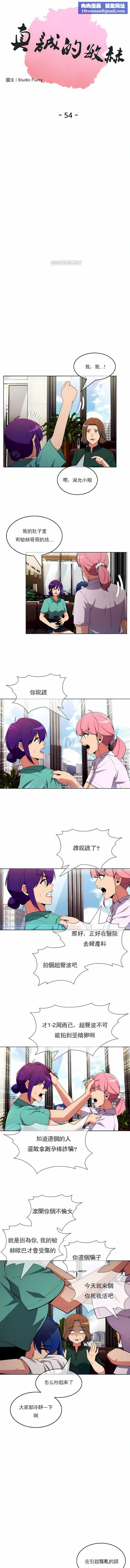 真诚的敏赫第54话