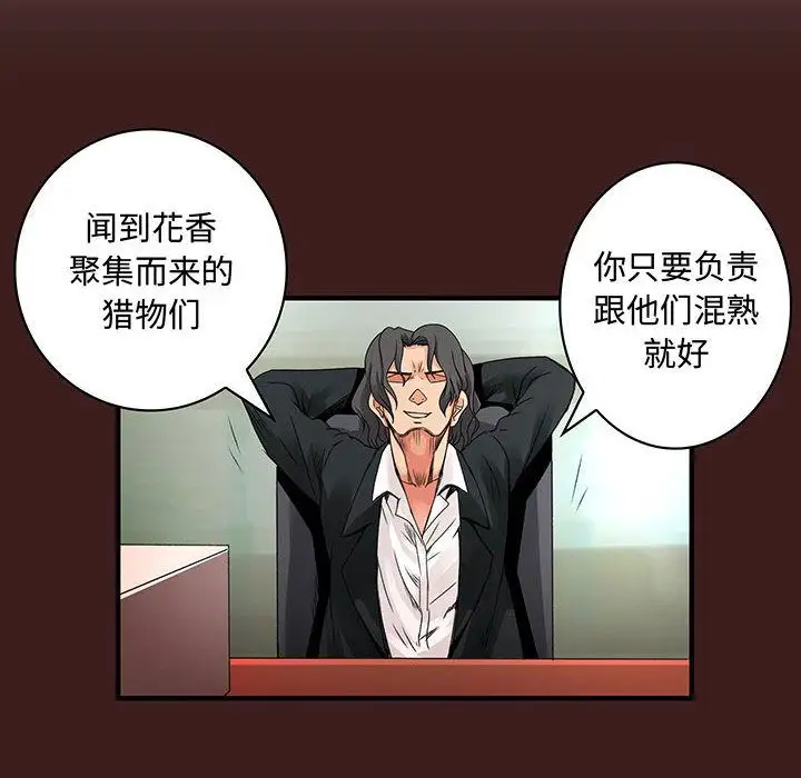 内衣社的新职员第28章