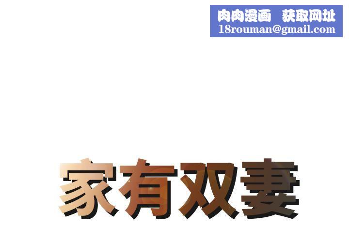 家有双妻第1话