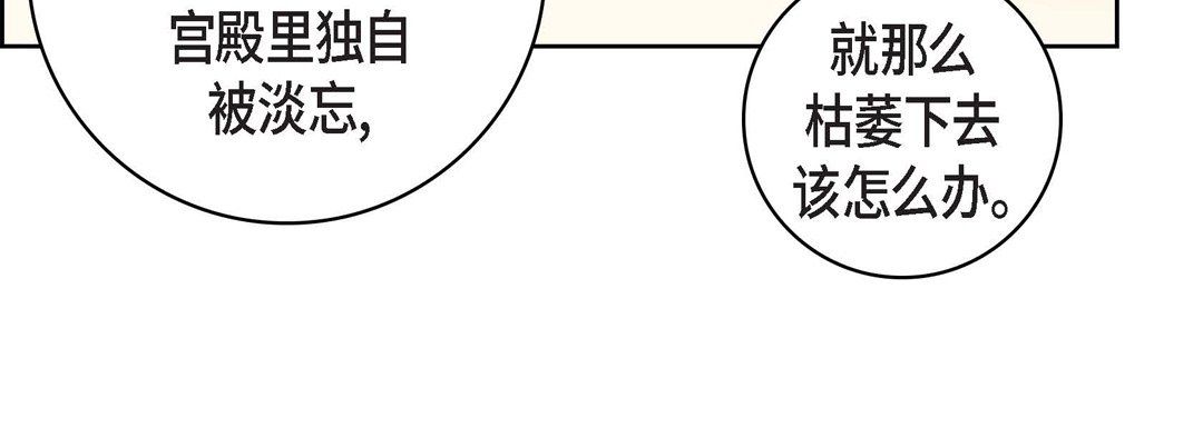 献给心臟第69话