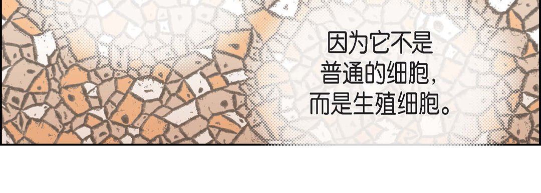 献给心臟第79话