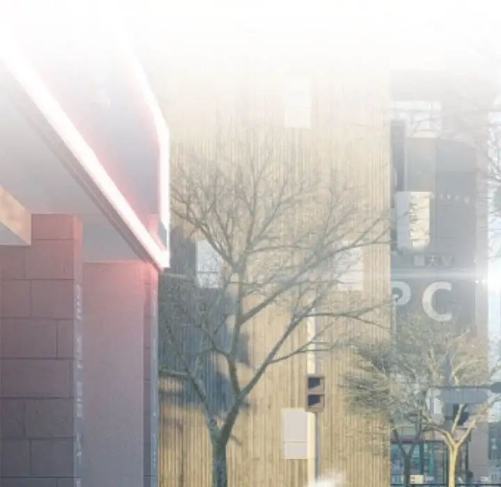 疯了才结婚第14话