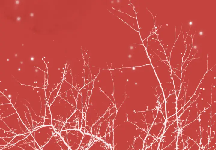 欲望人妻第36话