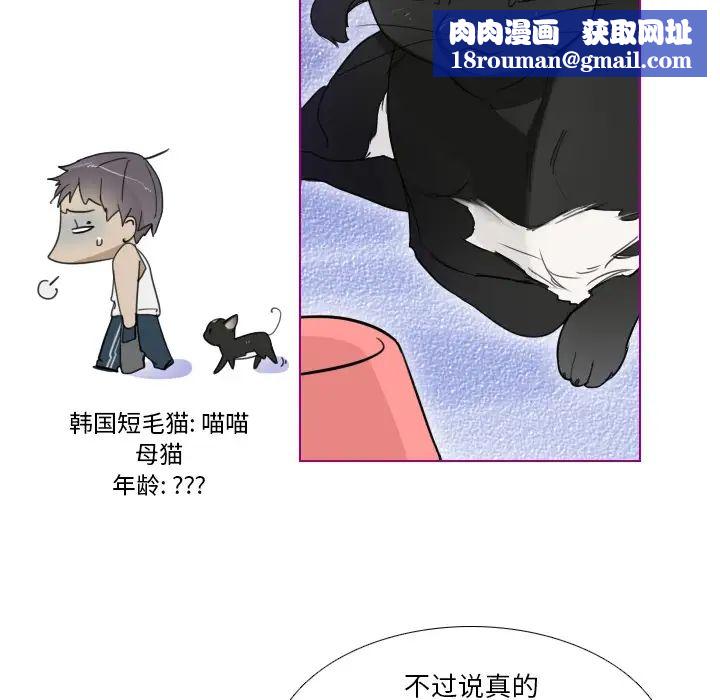 我的猫狗女友第1话