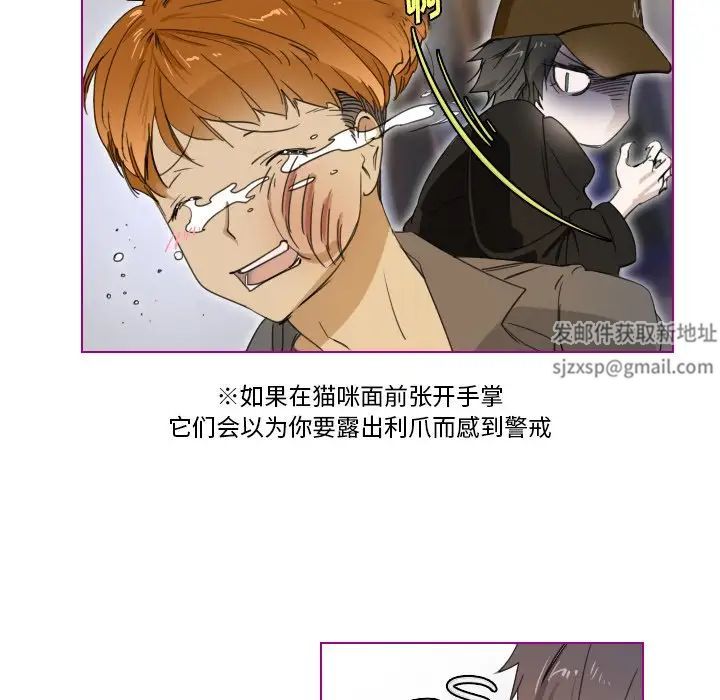 我的猫狗女友第3话