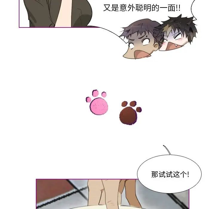 我的猫狗女友第4话