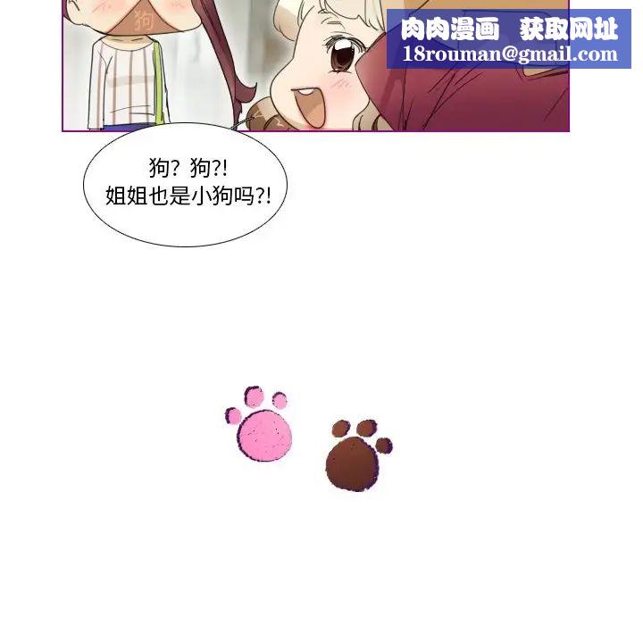 我的猫狗女友第5话