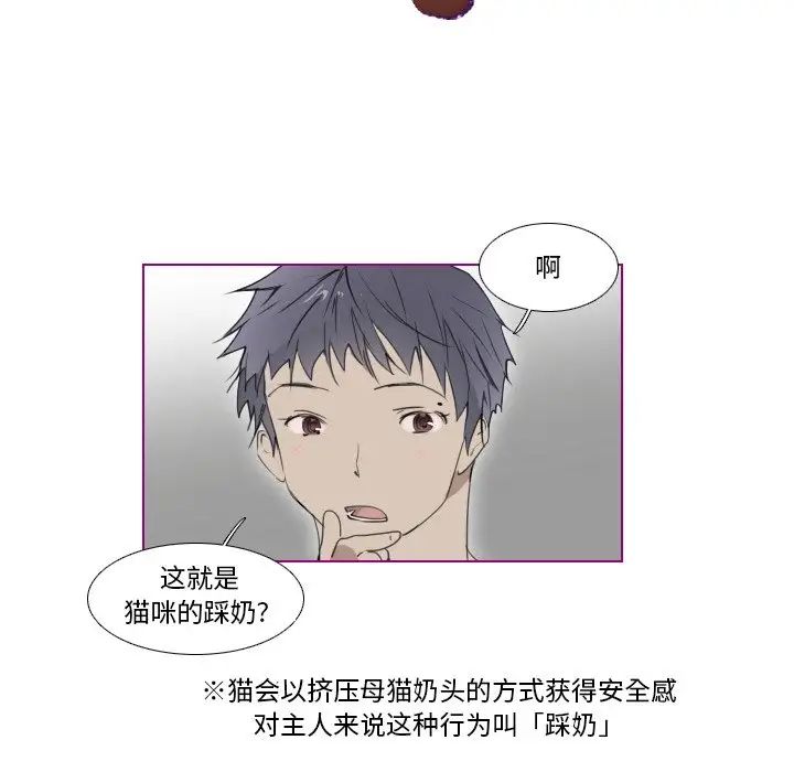 我的貓狗女友第8话