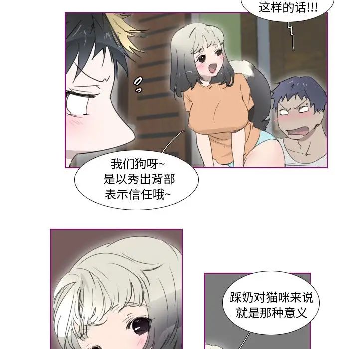 我的猫狗女友第8话