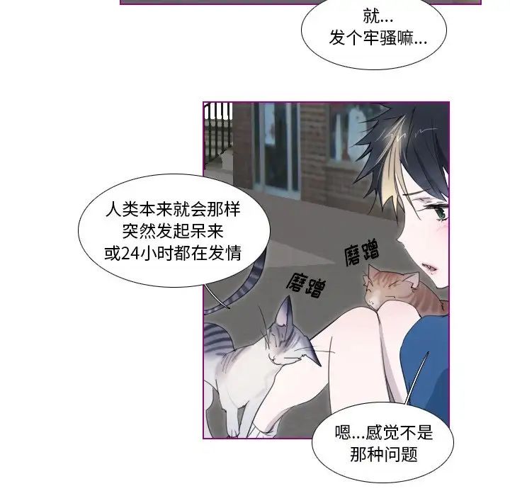 我的猫狗女友第11话