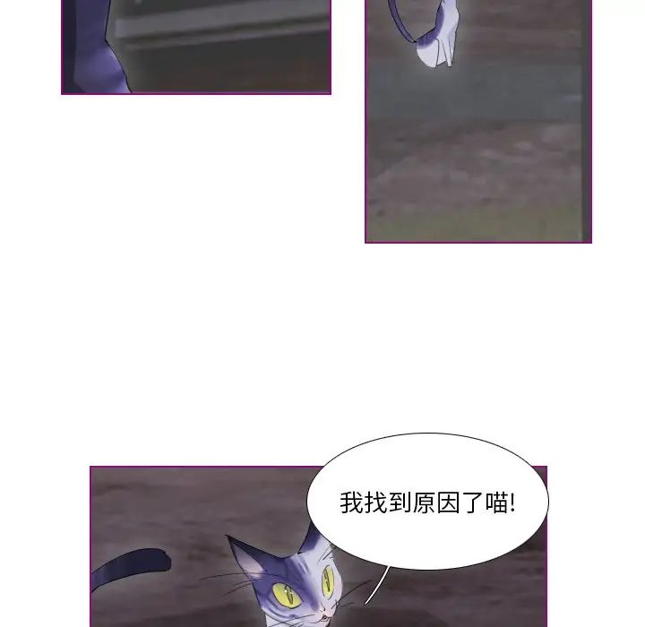 我的猫狗女友第12话