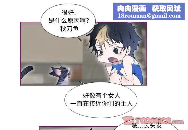 我的猫狗女友第13话