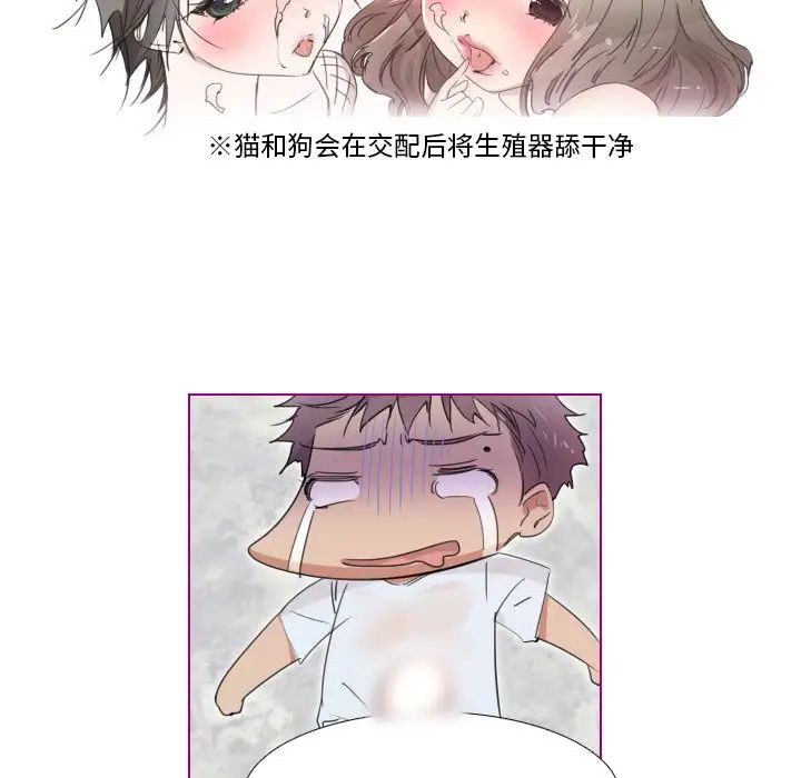 我的猫狗女友第16话-最终话(完结)