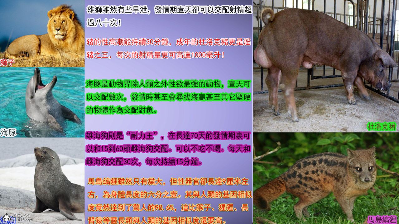 [3D]冰峰魔戀第31話