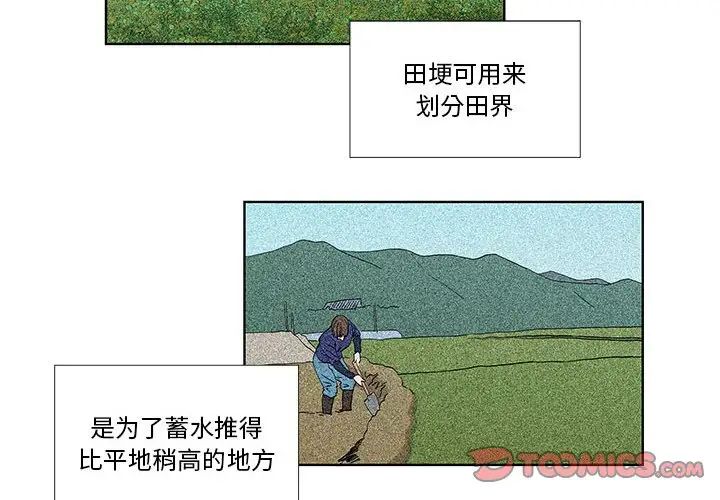 女人村的男老师第24话