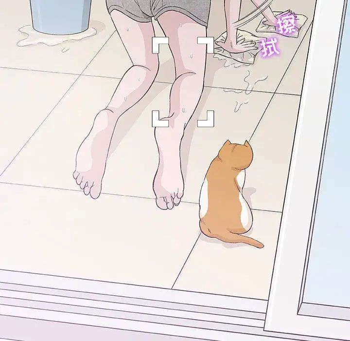 奇趣新人第12话