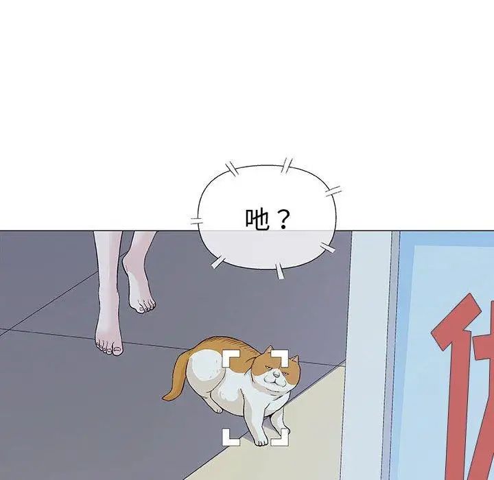 奇趣新人第12话